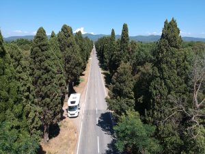Avenue of cypress Bolgheri